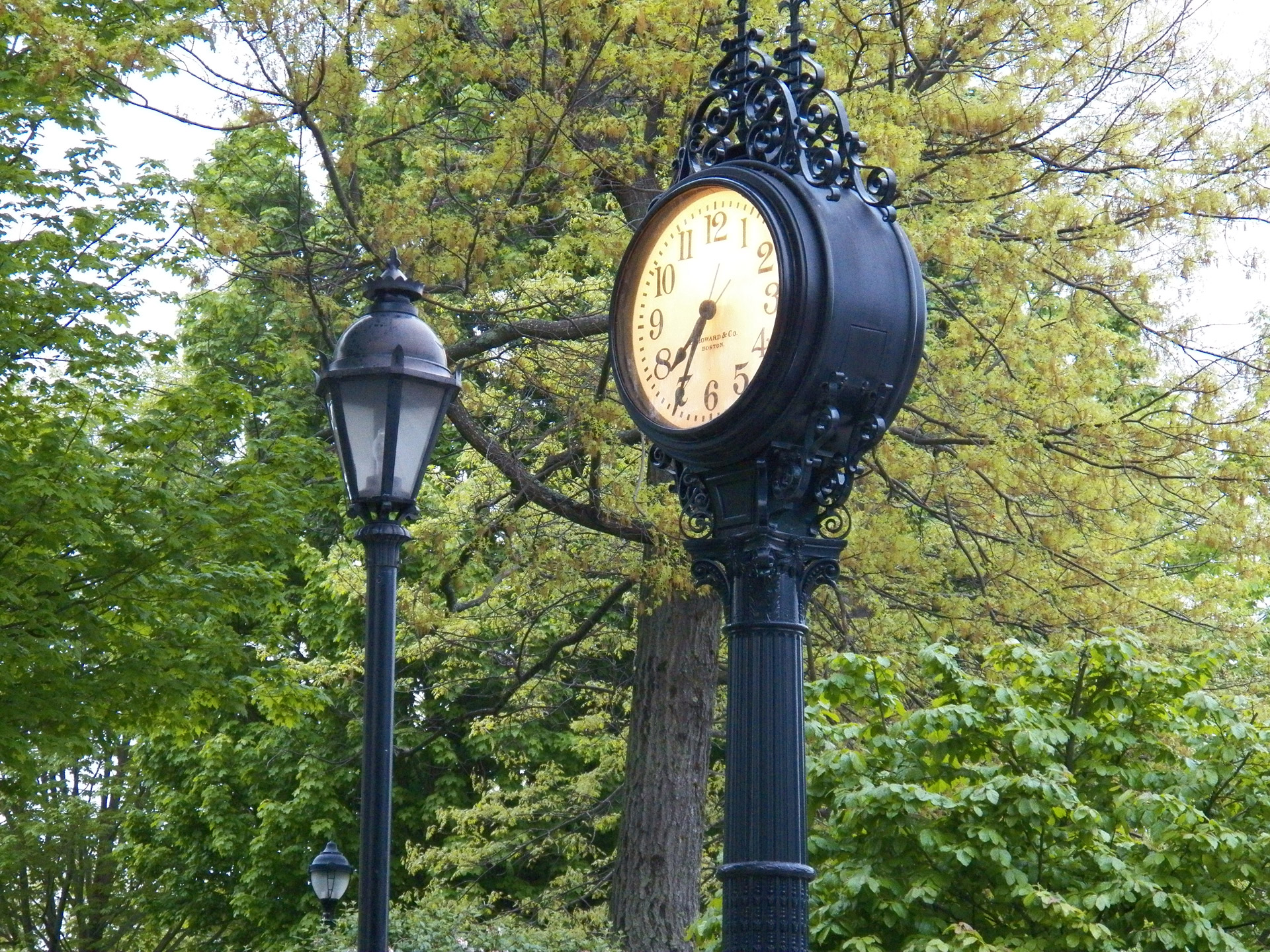 Laikrodis,  Laikas,  Valandos,  Sekundes,  Minutės,  Žiūrėti,  Laikrodžiai,  Medžiai,  Lempa,  Gatvė & Nbsp
