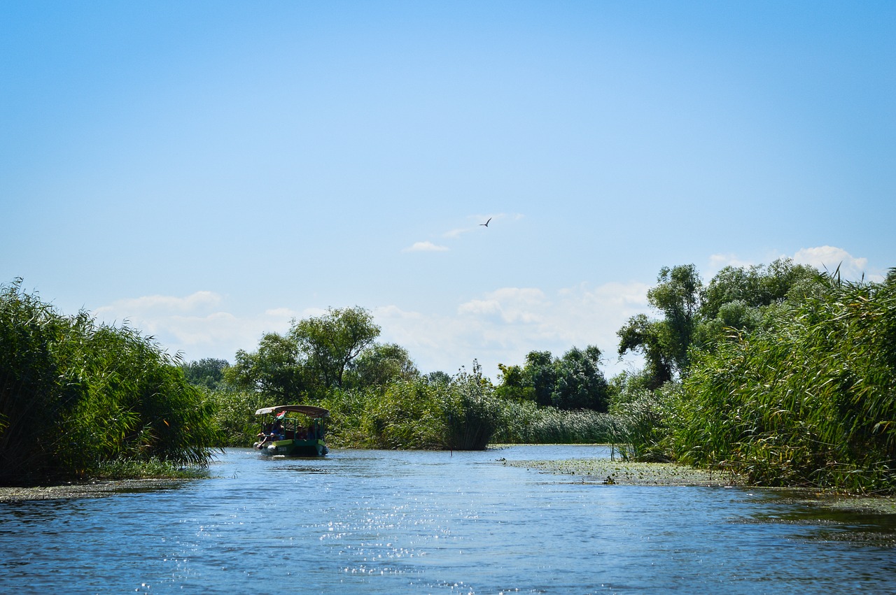 Tisza-Ežeras, Poroszló, Žalias, Mėlynas, Vasara, Gamta, Dangus, Kraštovaizdis, Saulė, Lauke