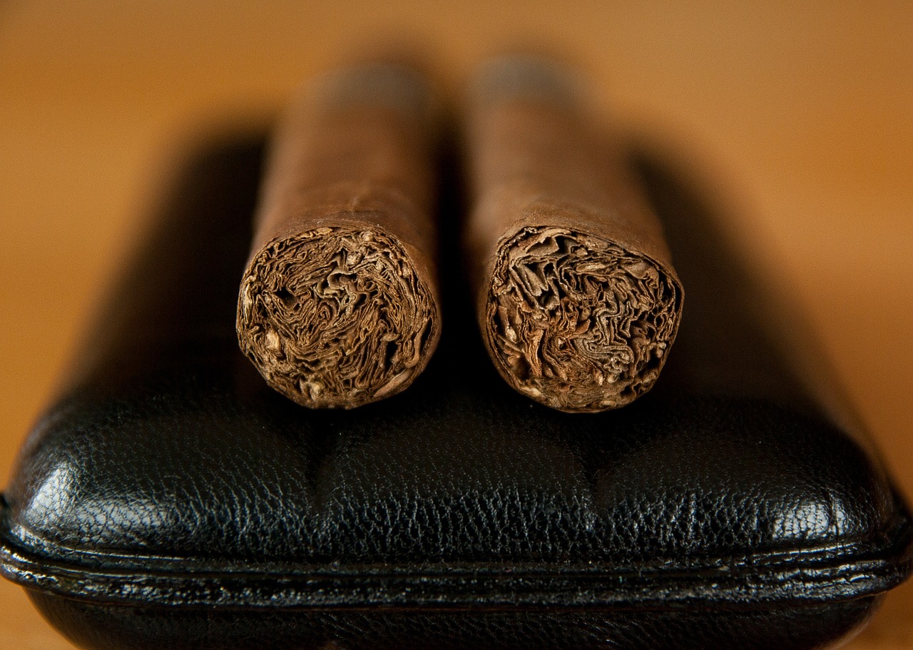 Tabakas, Cigaras, Dūmai, Rūkytojas, Havana, Atvejis, Nemokamos Nuotraukos,  Nemokama Licenzija