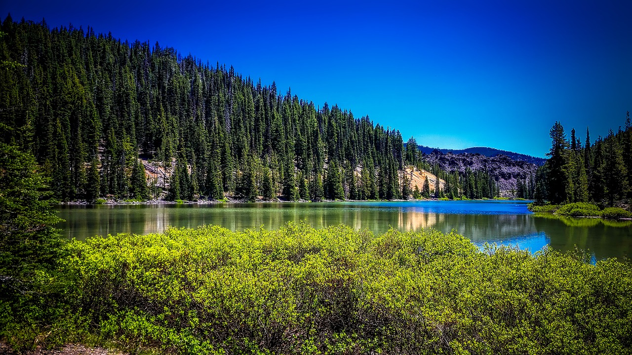 Todd Ežeras, Oregonas, Kraštovaizdis, Vaizdingas, Kalnai, Miškas, Medžiai, Miškai, Gamta, Lauke