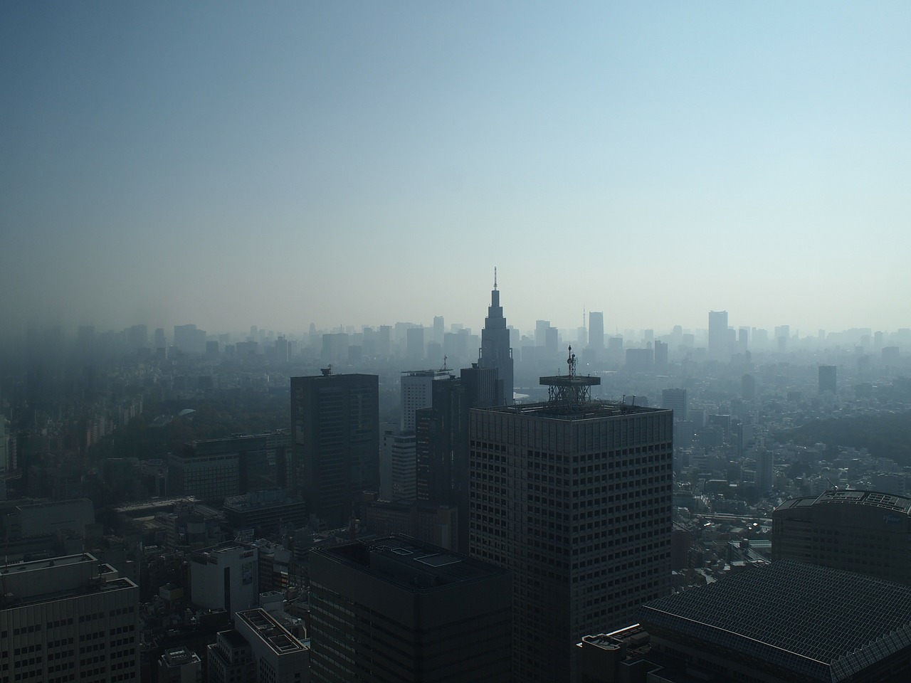 Tokyo, Rytas, Shinjuku, Migla, Aukštybiniai Pastatai, Architektūra, Panorama, Miestas, Miesto Panorama, Bokštas