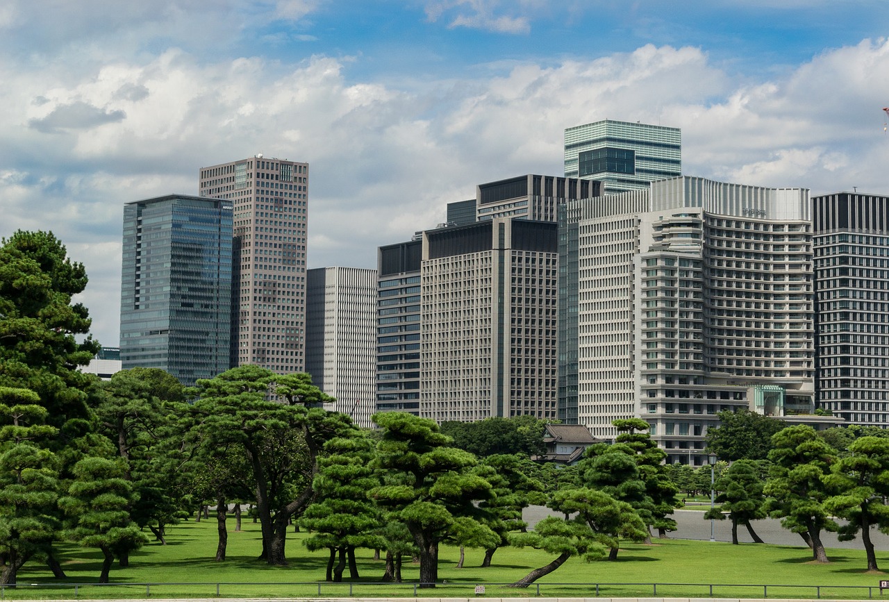 Tokyo, Kokyo Gaien, Panorama, Juodoji Pušis, Japonija, Miestas, Architektūra, Šiuolaikiška, Metropolis, Nemokamos Nuotraukos