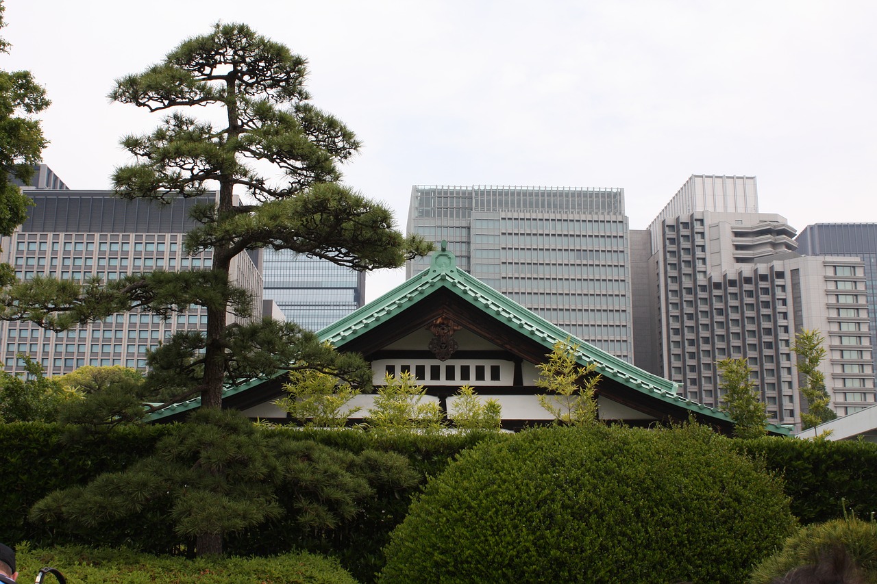 Tokyo,  Parkas,  Sodas,  Medis, Nemokamos Nuotraukos,  Nemokama Licenzija