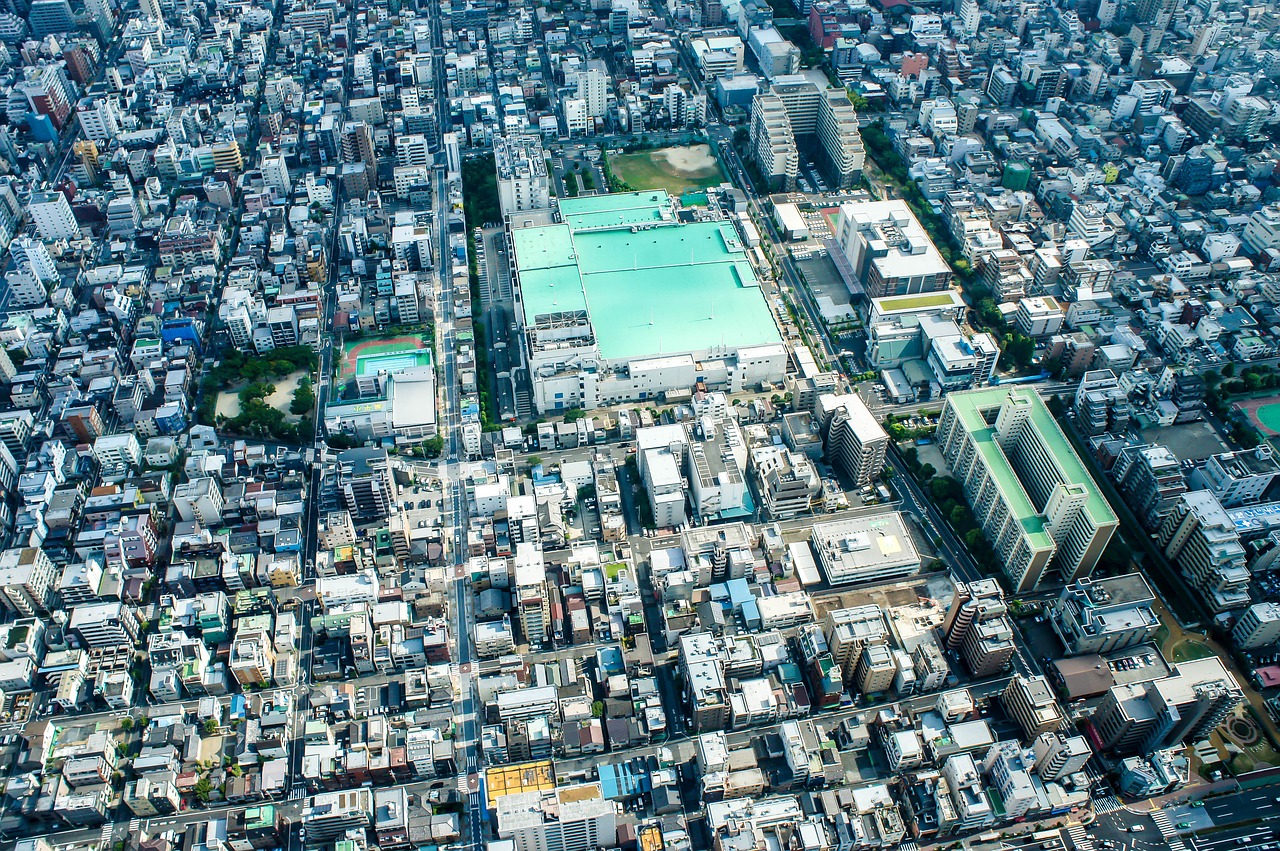 Tokyo Dangus Medis, Kelionė, Japonija, Nemokamos Nuotraukos,  Nemokama Licenzija