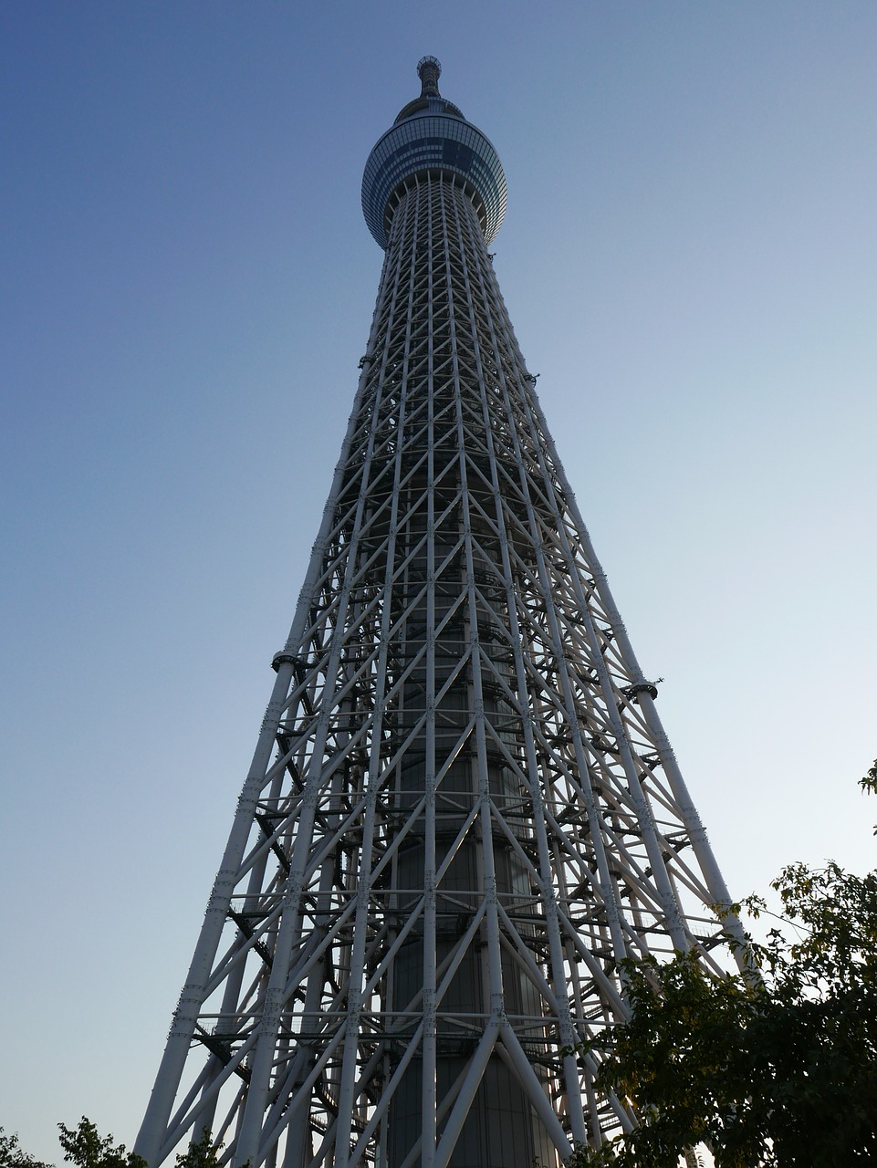 Tokyo Dangus Medis, Aukštas Pastatas, Dangus, Bokštas, Aukštas, Metalinis, Didelis, Nemokamos Nuotraukos,  Nemokama Licenzija