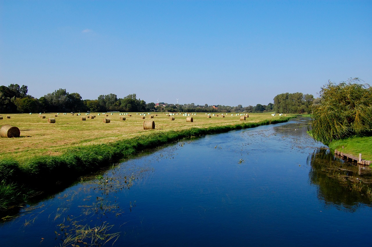 Tollense, Altentreptow, Upė, Gamta, Vanduo, Kraštovaizdis, Upės Atspindys, Nemokamos Nuotraukos,  Nemokama Licenzija