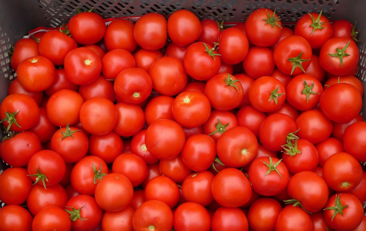 Pomidoras, Raudona, Daržovių, Nemokamos Nuotraukos,  Nemokama Licenzija