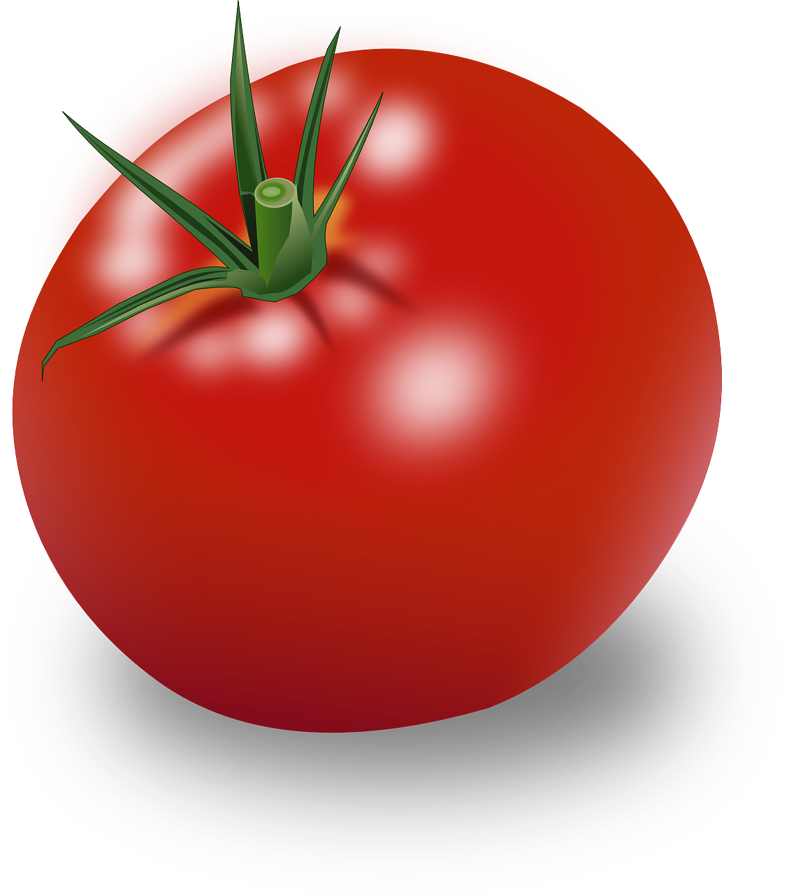 Pomidoras, Daržovių, Maistas, Gamta, Augalas, Nemokama Vektorinė Grafika, Nemokamos Nuotraukos,  Nemokama Licenzija