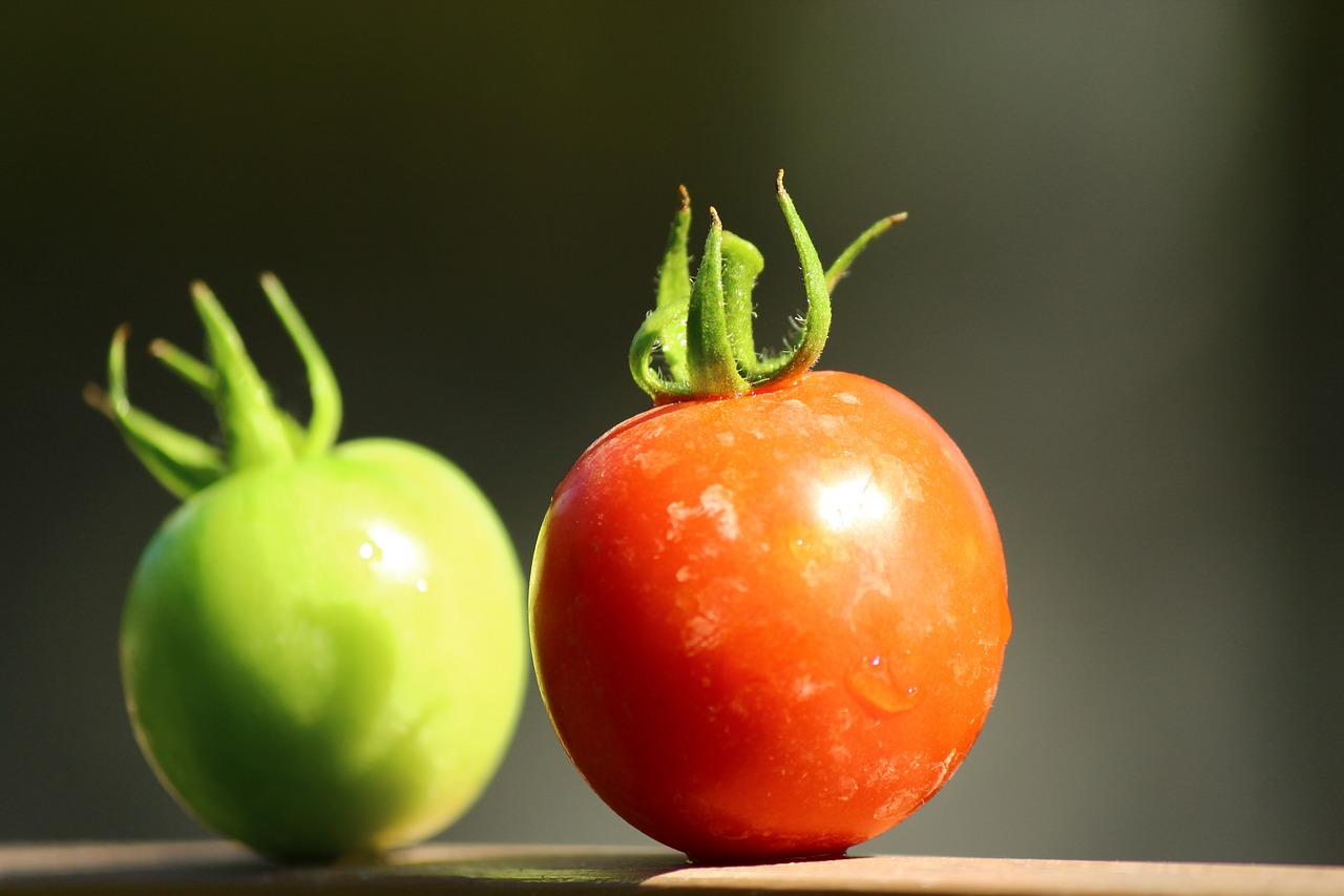 Pomidoras, Žalia Raudona, Dvyniai, Nemokamos Nuotraukos,  Nemokama Licenzija