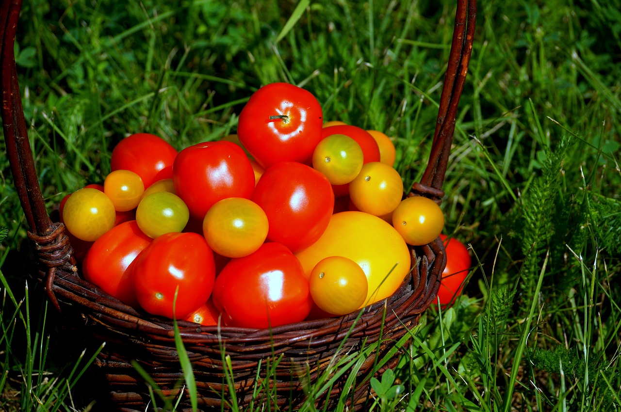 Pomidorai, Maistas, Vitaminai, Gamta, Daržovės, Nemokamos Nuotraukos,  Nemokama Licenzija