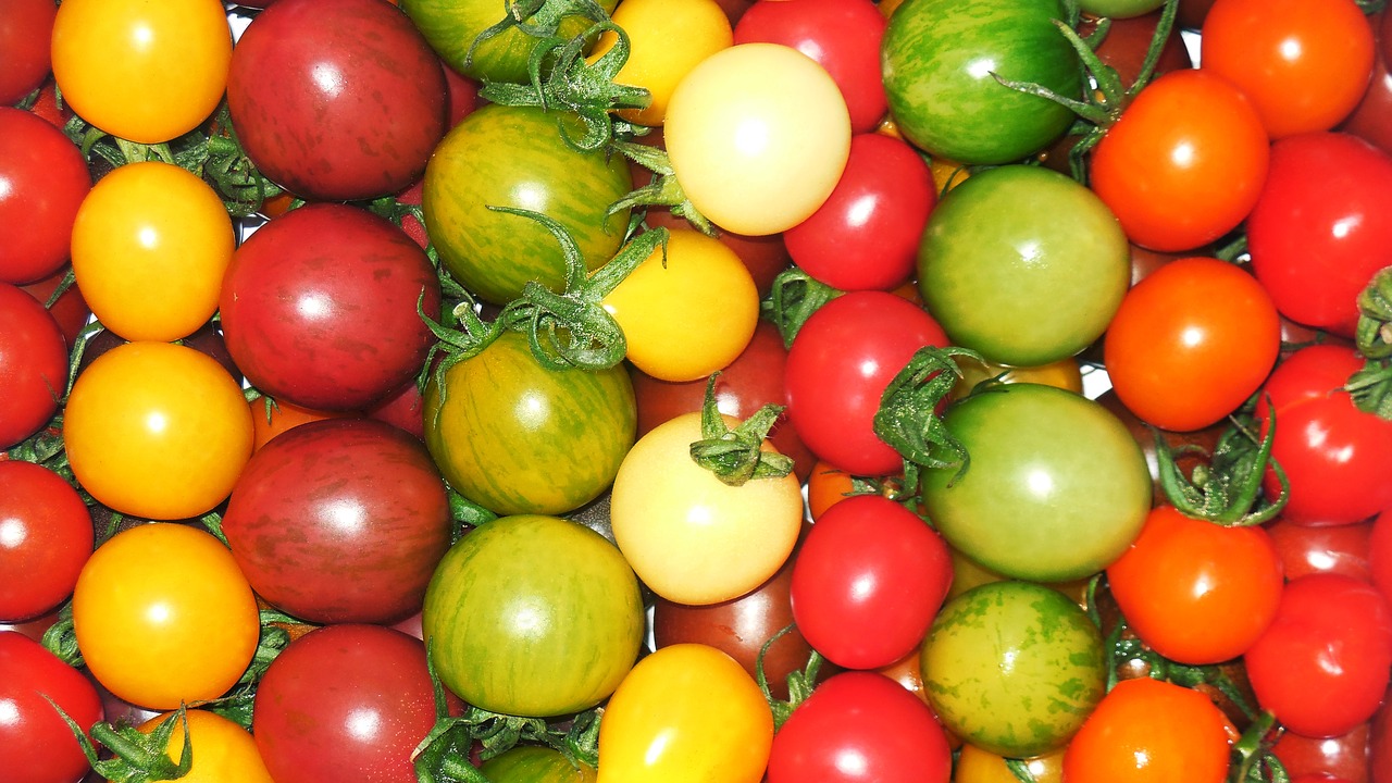 Pomidoras, Petit Pomidorai, Raudona, Vyšnių Pomidorai, Spalvinga, Daržovės, Derlius, Nemokamos Nuotraukos,  Nemokama Licenzija