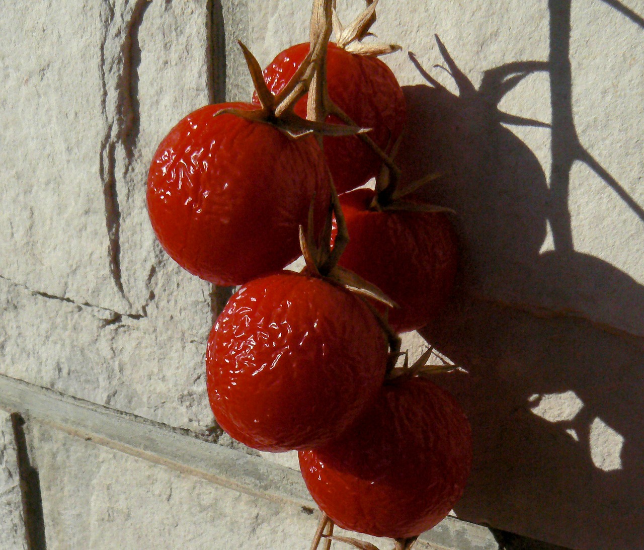 Pomidoras, Daržovių, Raudona, Saulė, Maistas, Sveikas, Ekologiškas, Vegetariškas, Nemokamos Nuotraukos,  Nemokama Licenzija