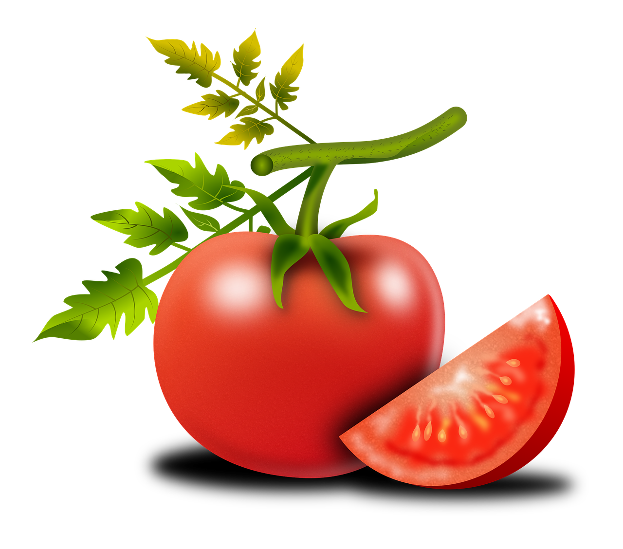 Pomidoras, Vaisiai, Solanum Lycopersicum, Maistingas, Sveikata, Sveikas, Daržovių, Salotos, Raudona, Horta