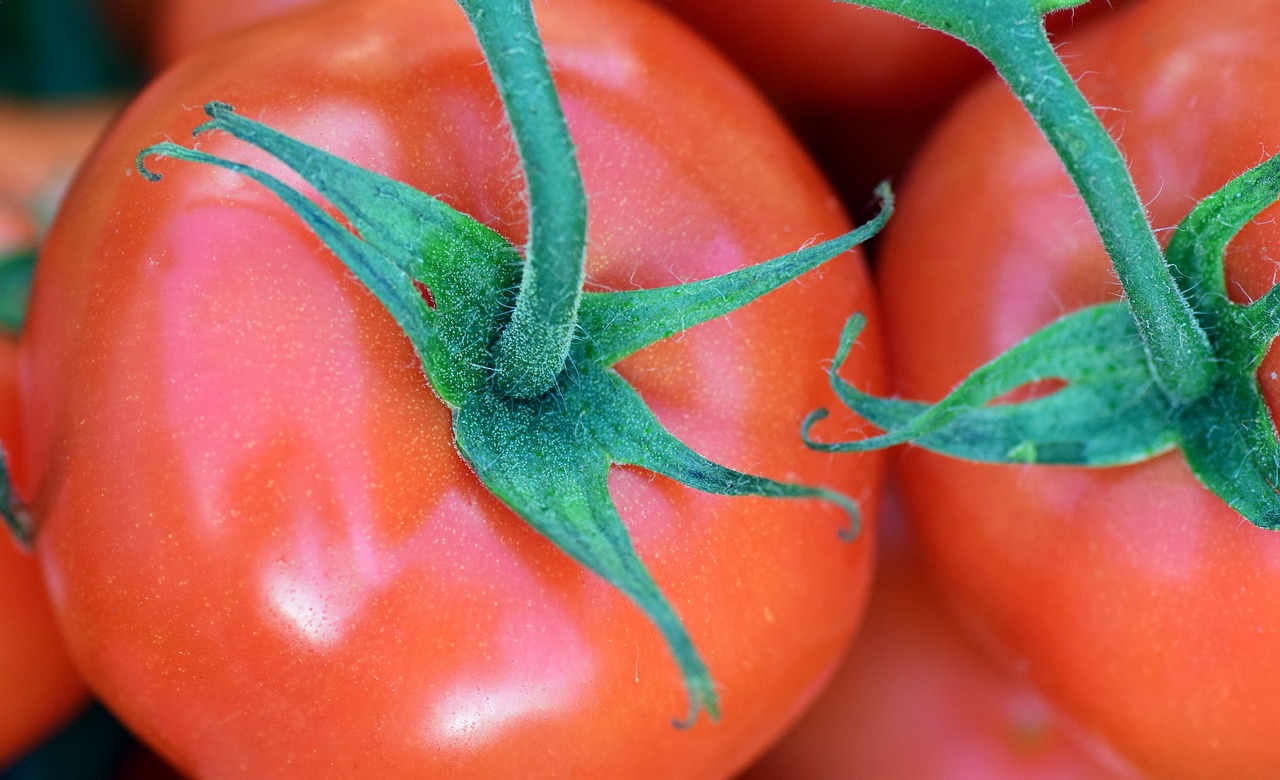 Pomidoras, Krūmo Pomidoras, Daržovės, Maistas, Raudona, Nachtschattengewächs, Tomatenrispe, Frisch, Sveikas, Daržovių Auginimas