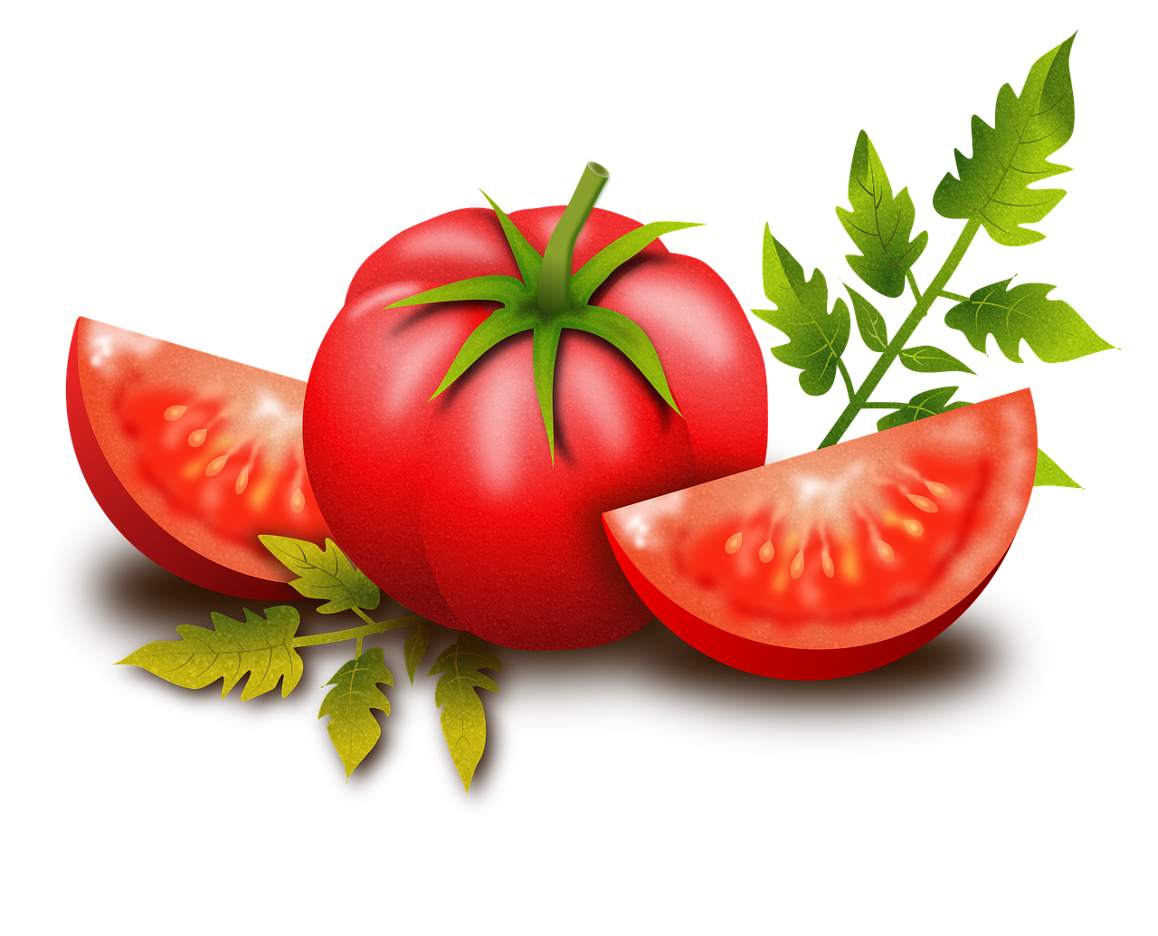 Pomidoras, Vaisiai, Daržovės, Augalai, Maistas, Maistingas, Sveikas, Kulinarijos, Solanum Lycopersicum, Salotos