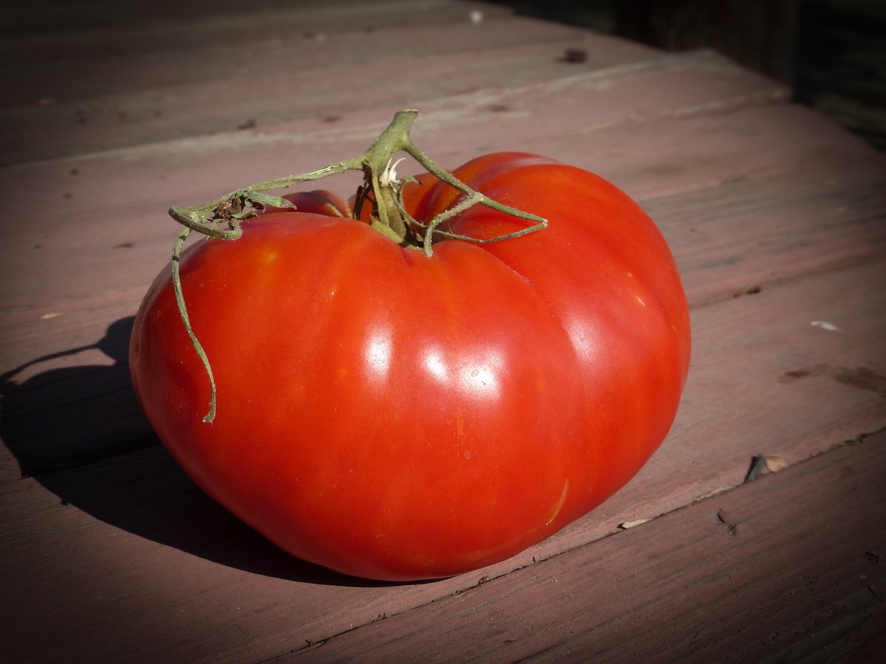 Pomidoras, Raudona, Ekologiškas, Prinokę, Daržovių, Pomidorai, Vegetariškas, Vasara, Mityba, Vynmedis