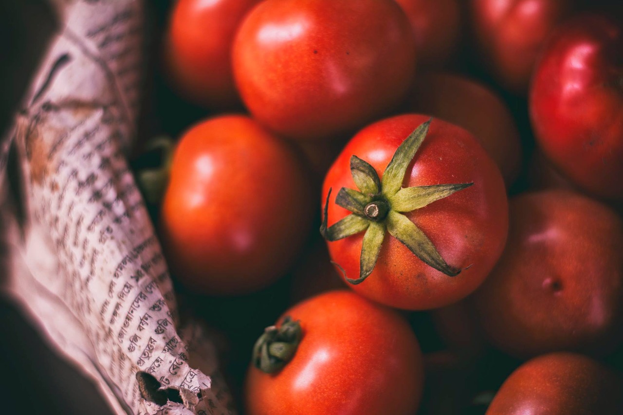 Pomidoras, Pasėliai, Daržovių, Raudona, Šviežias, Ingredientas, Nemokamos Nuotraukos,  Nemokama Licenzija