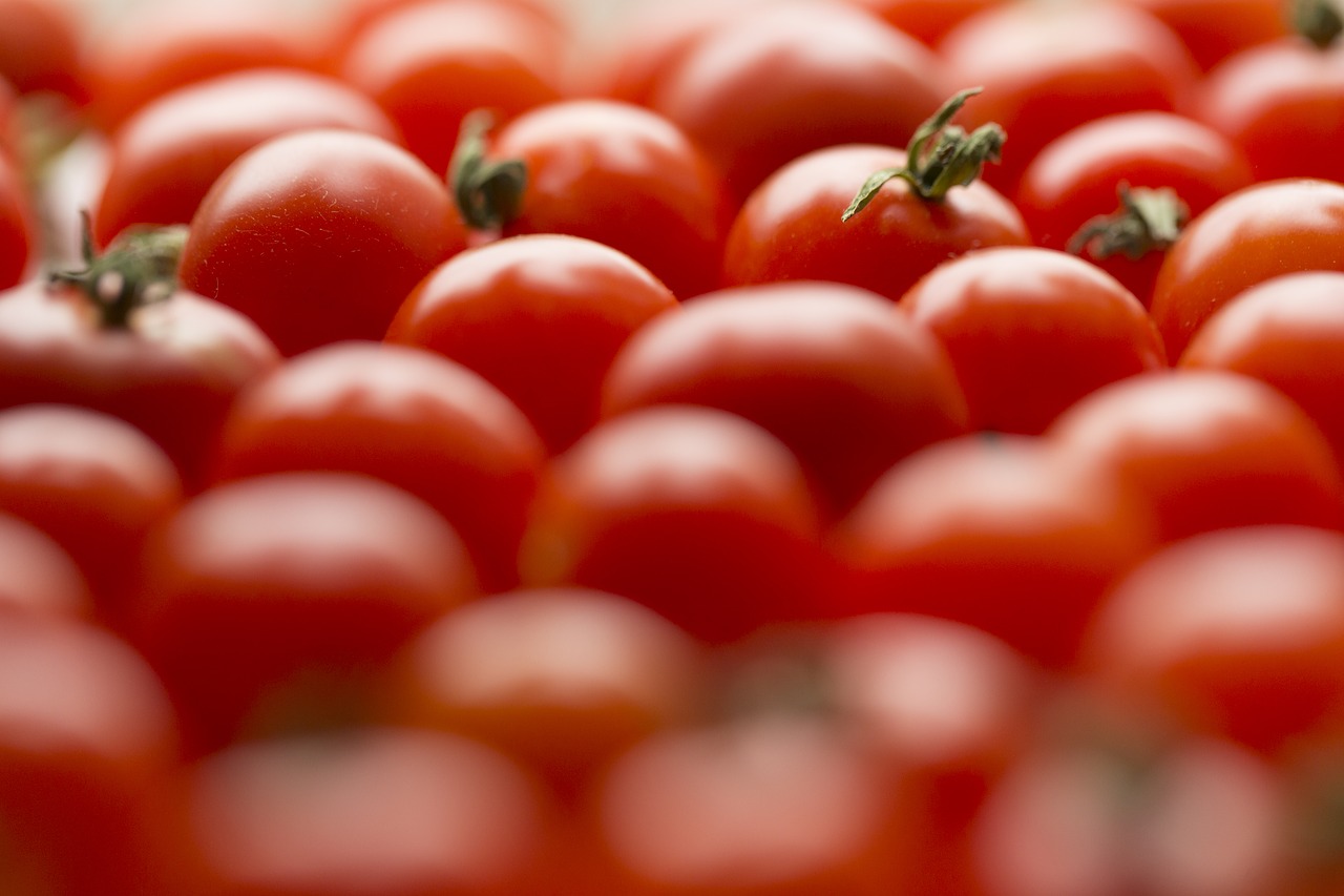 Pomidoras, Pomidorai, Daržovių, Maistas, Raudona, Šviežias, Spalvos, Gamta, Ekologiškas, Nemokamos Nuotraukos