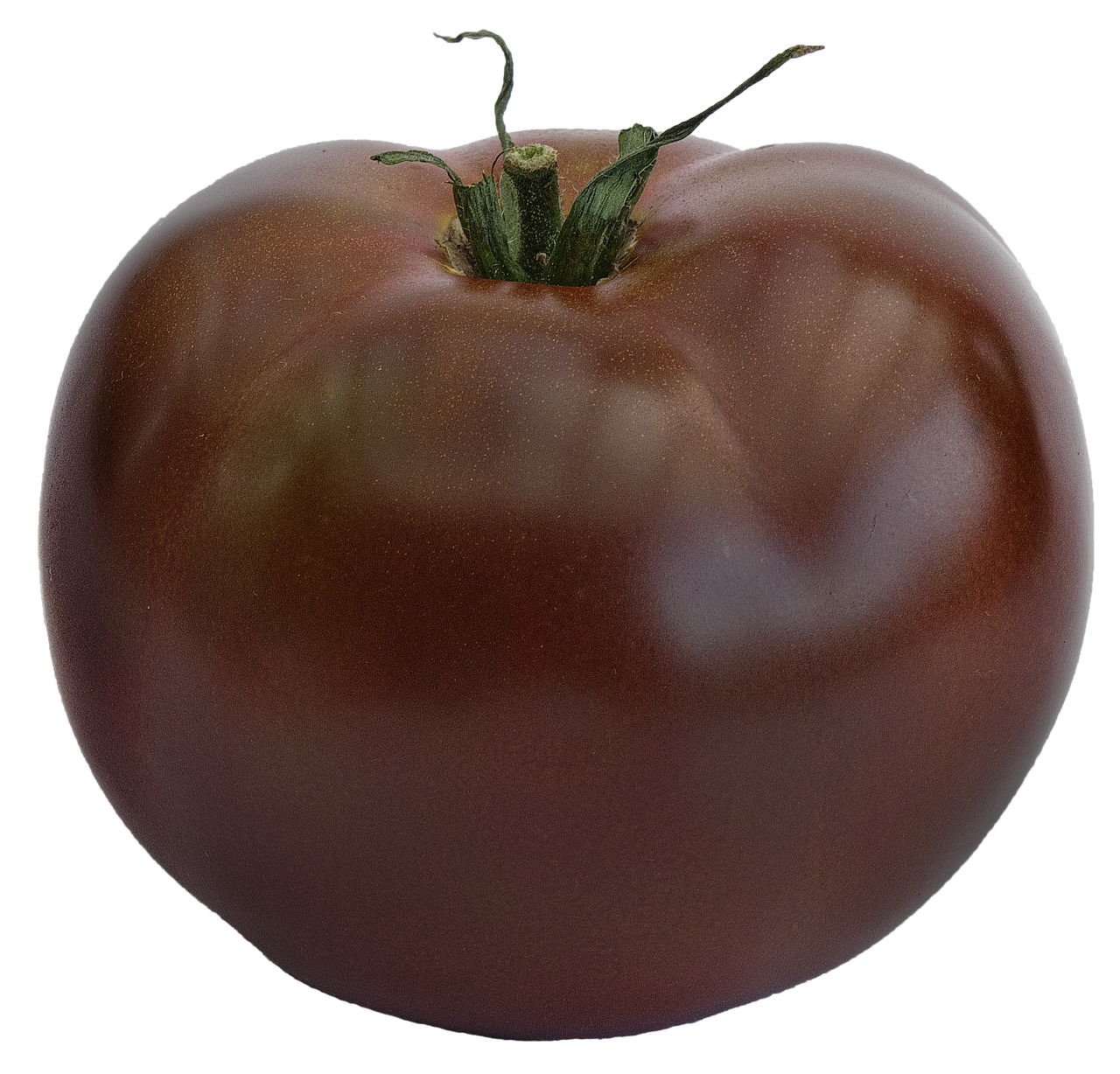 Pomidoras, Juodas Pomidoras, Veislė Zebrino, Solanum Lycopersicum, Paradeisapfel, Užaugę, Krūmo Pomidoras, Maistas, Nachtschattengewächs, Jautienos Pomidorai