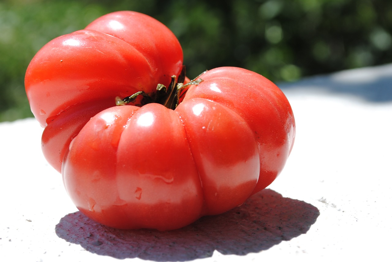 Pomidoras, Daržovių, Šiltnamyje, Nemokamos Nuotraukos,  Nemokama Licenzija