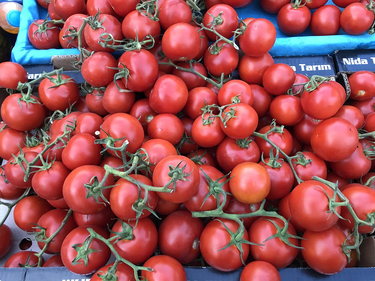 Pomidoras, Pomidorai, Daržovės, Nemokamos Nuotraukos,  Nemokama Licenzija