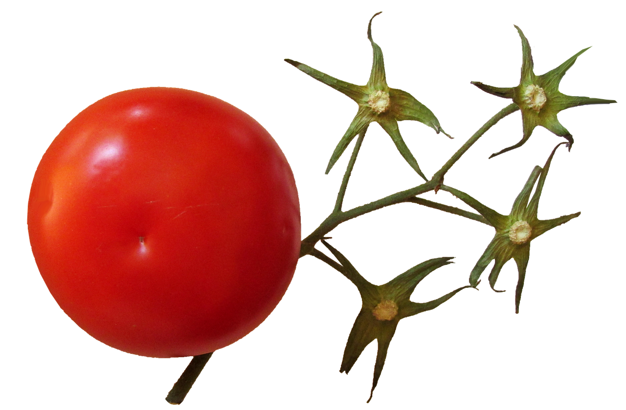 Pomidoras, Stiebas, Maistas, Ekologiškas, Nemokamos Nuotraukos,  Nemokama Licenzija