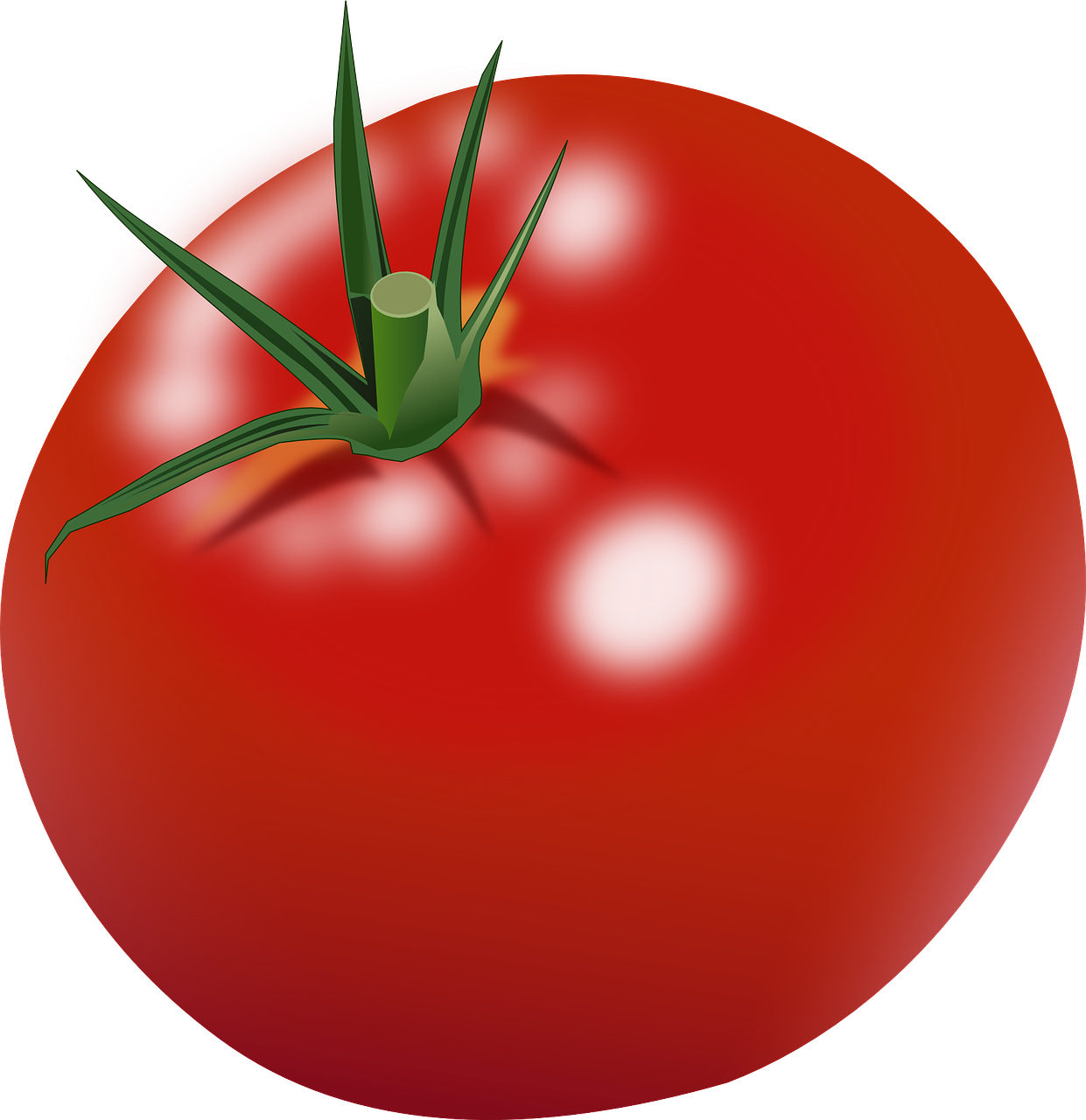 Pomidoras, Prinokę, Raudona, Maistas, Sveikas, Šviežias, Natūralus, Vegetariškas, Žaliavinis, Ekologiškas