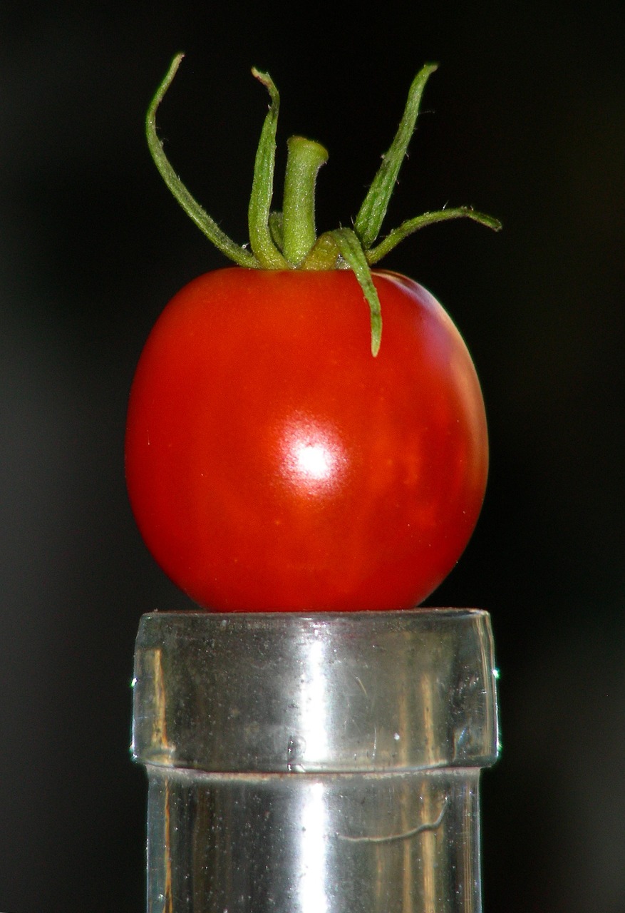Pomidoras, Vaisiai, Daržovės, Nemokamos Nuotraukos,  Nemokama Licenzija