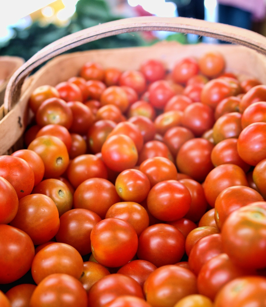 Pomidoras, Raudona, Veggies, Maistas, Šviežias, Daržovių, Sveikas, Žalias, Ekologiškas, Vegetariškas