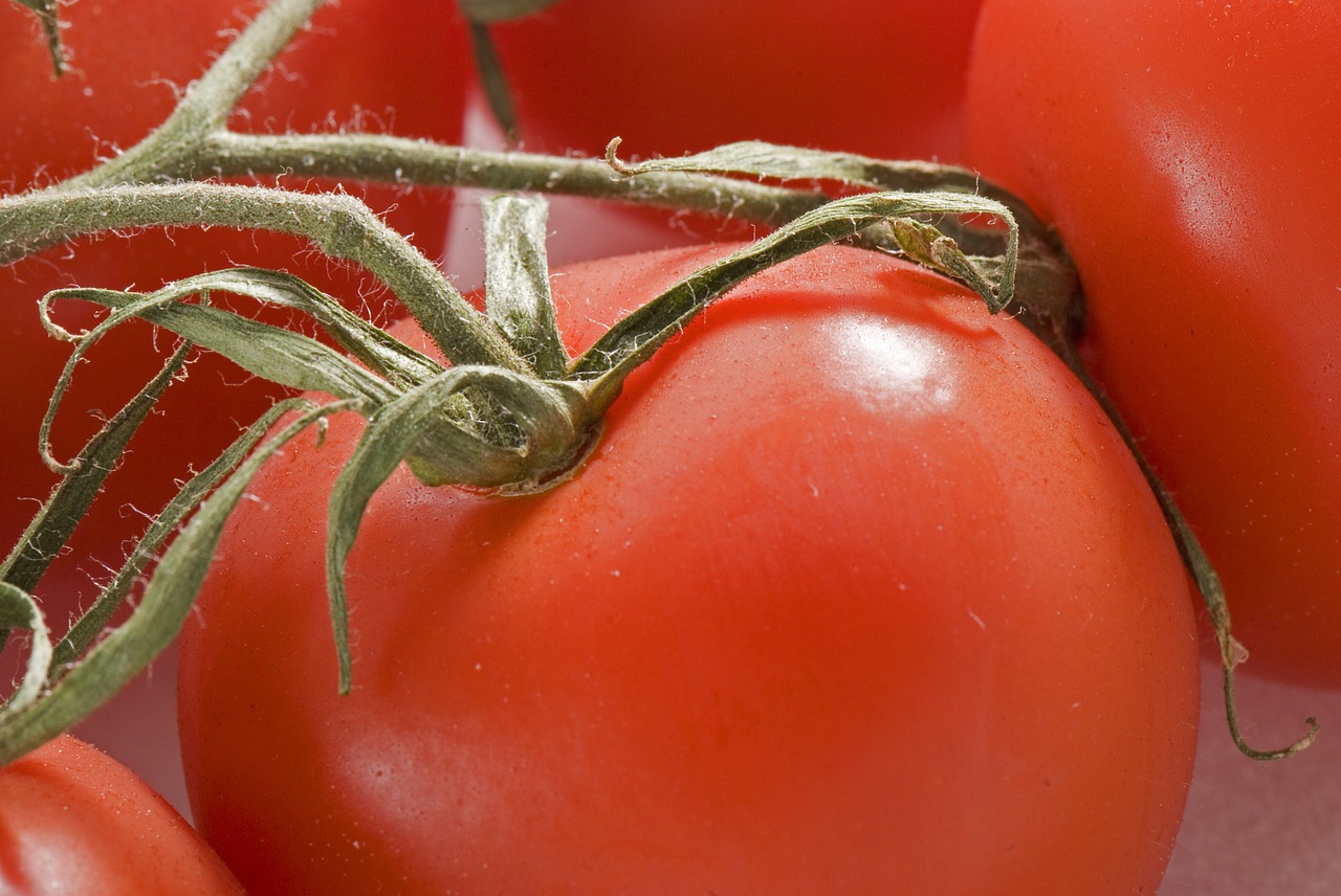 Pomidoras, Maistas, Daržovių, Virimo, Vegetariškas, Raudona, Natūralus, Maistas, Sveikas, Mityba