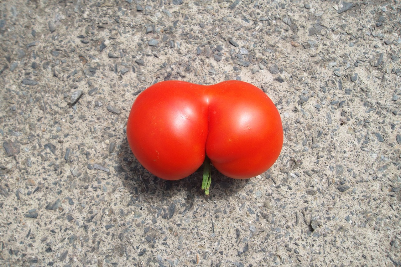 Pomidoras, Užpakalis, Juokinga, Raudona, Bio, Eco, Produktas, Daržovės, Vaisiai, Linksma Forma