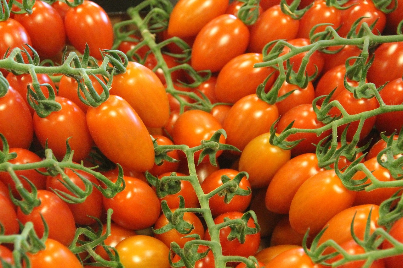 Pomidorai, Pomidoras, Daržovių, Maistas, Nemokamos Nuotraukos,  Nemokama Licenzija