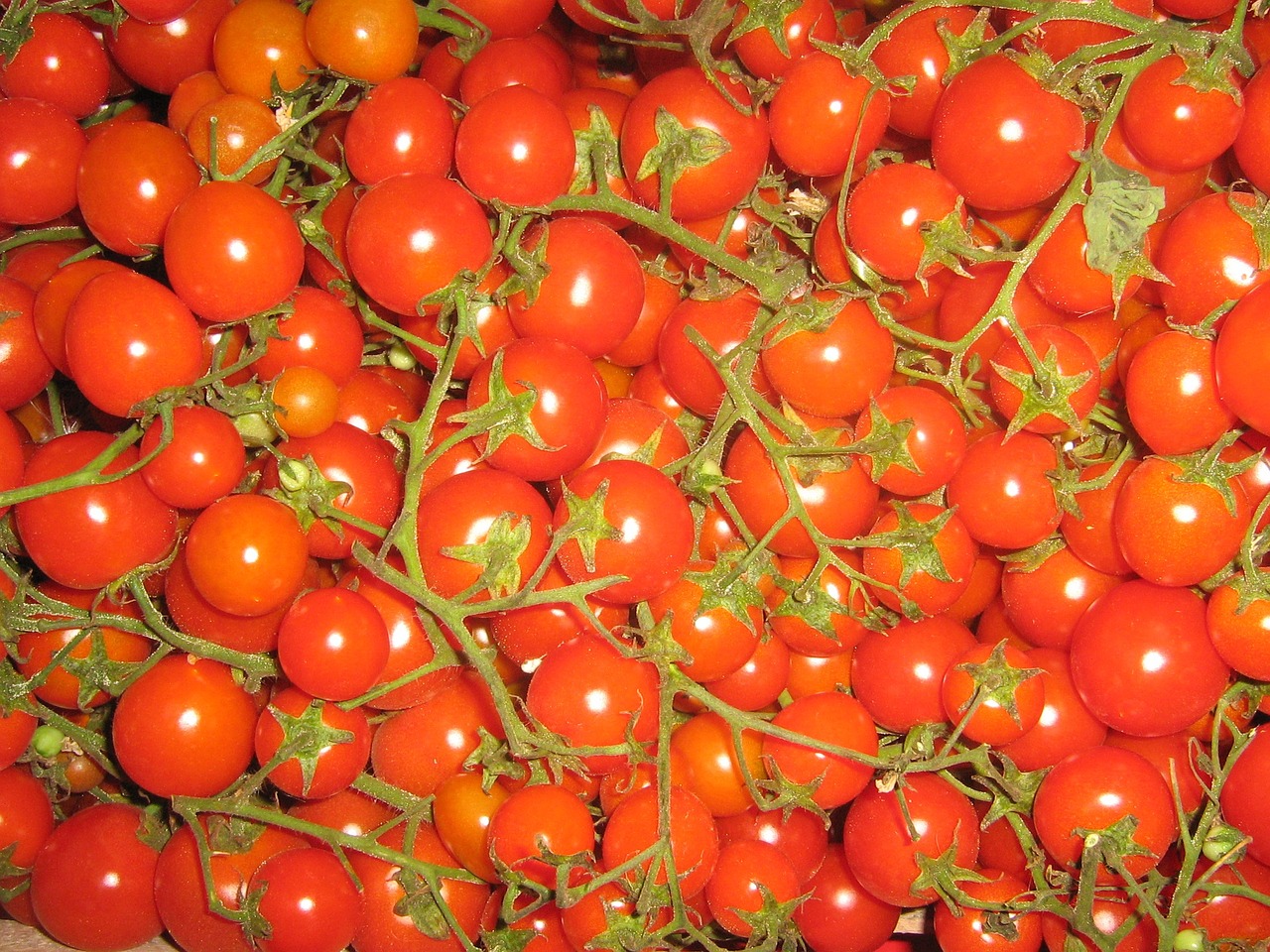 Pomidorai, Santvaros, Daržovės, Vegetariškas, Maistas, Skanus, Frisch, Sveikas, Vitaminai, Raudona