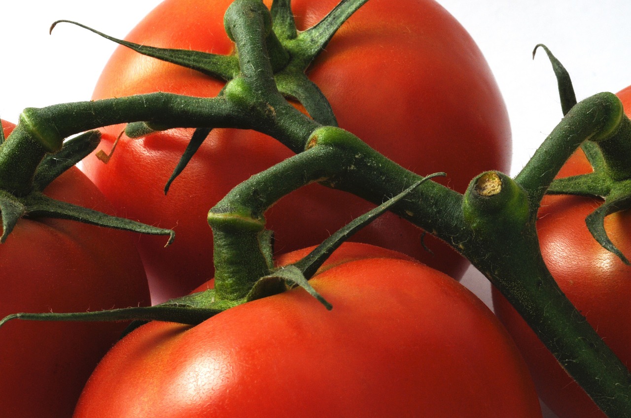 Pomidorai, Šviežias, Maistas, Daržovių, Mityba, Natūralus, Žaliavinis, Salotos, Sveikas, Vynmedis
