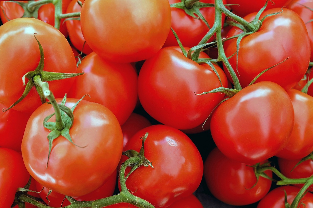 Pomidorai, Daržovės, Raudona, Maistas, Sveikas, Nemokamos Nuotraukos,  Nemokama Licenzija