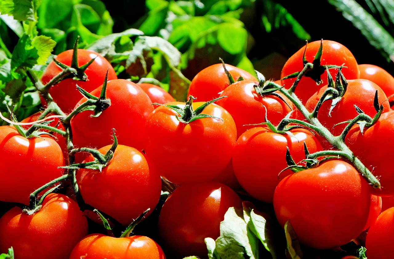 Pomidorai, Raudona, Maistas, Frisch, Turgus, Nemokamos Nuotraukos,  Nemokama Licenzija