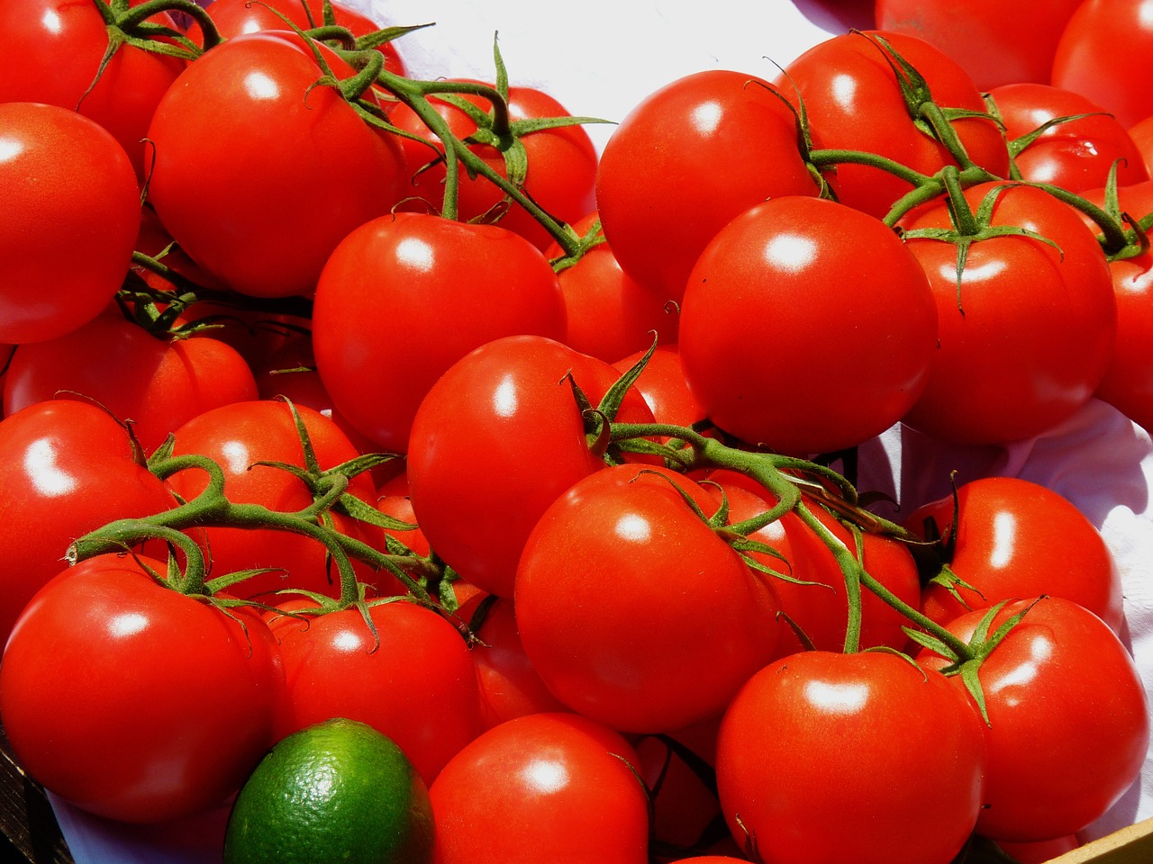 Pomidorai, Turgus, Daržovės, Raudona, Maistas, Skanus, Frisch, Sveikas, Vitaminai, Nemokamos Nuotraukos