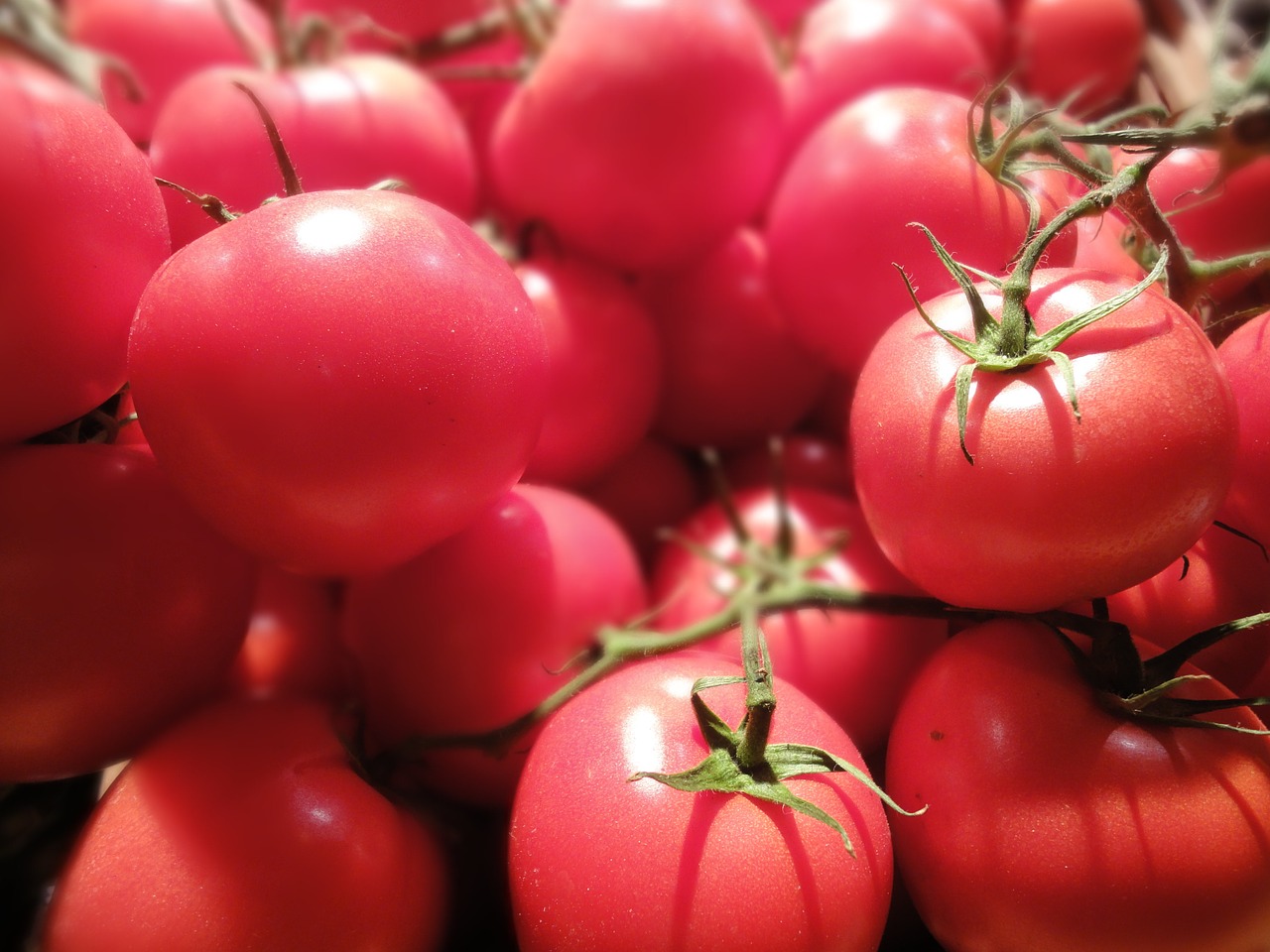 Pomidorai, Maistas, Šviesus, Žemdirbystė, Šviežias, Turgus, Sveikas, Nemokamos Nuotraukos,  Nemokama Licenzija
