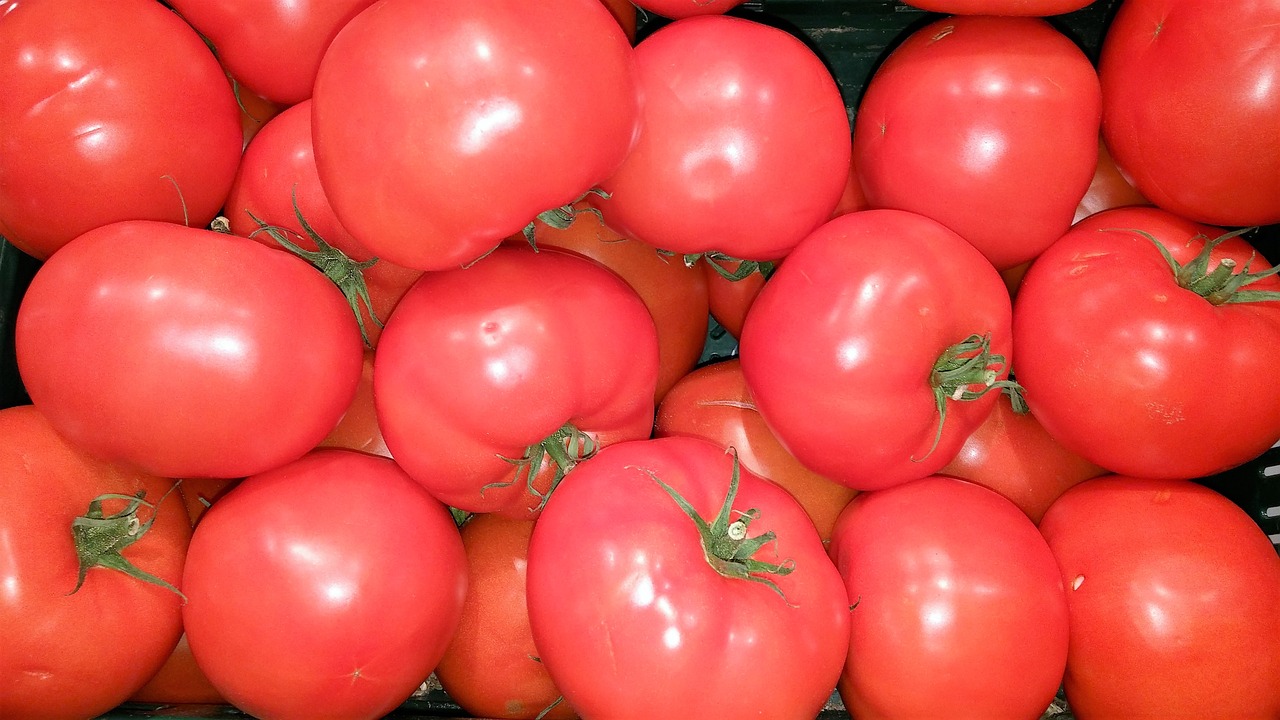 Pomidorai, Frisch, Maistas, Daržovės, Raudona, Valgyti, Sveikas, Maistas, Skanus, Mozzarella
