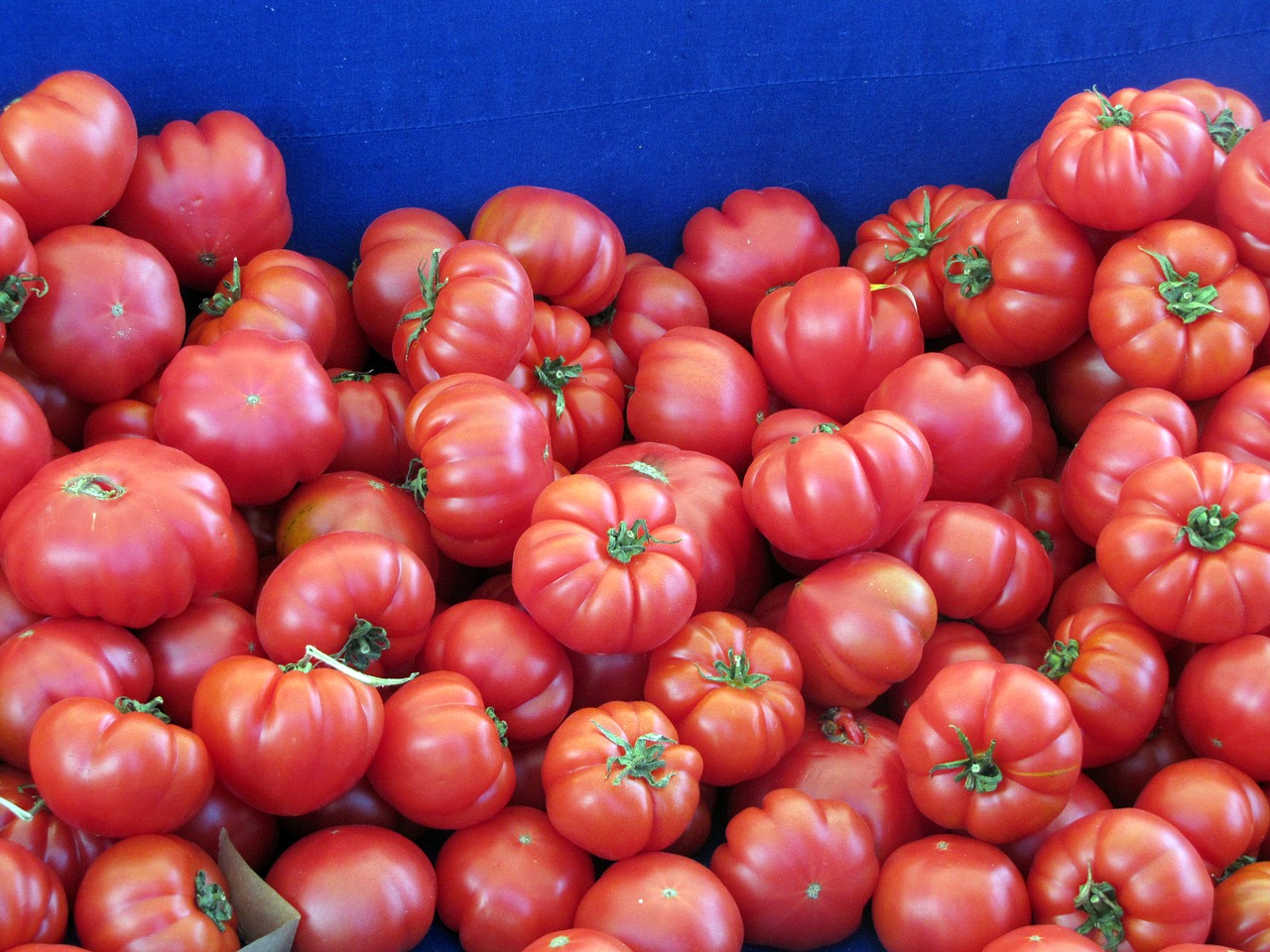 Pomidorai, Daržovių, Maistas, Raudona, Sveikas, Ekologiškas, Sveikas Maistas, Nemokamos Nuotraukos,  Nemokama Licenzija