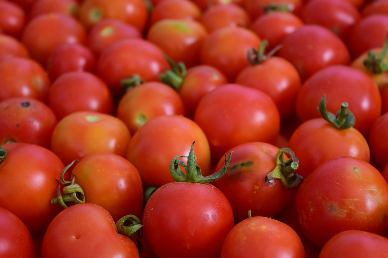 Pomidorai, Fonas, Raudona, Frisch, Organiniai Pomidorai, Krūmų Pomidorai, Daug, Kiekybiniai, Mityba, Daržovės