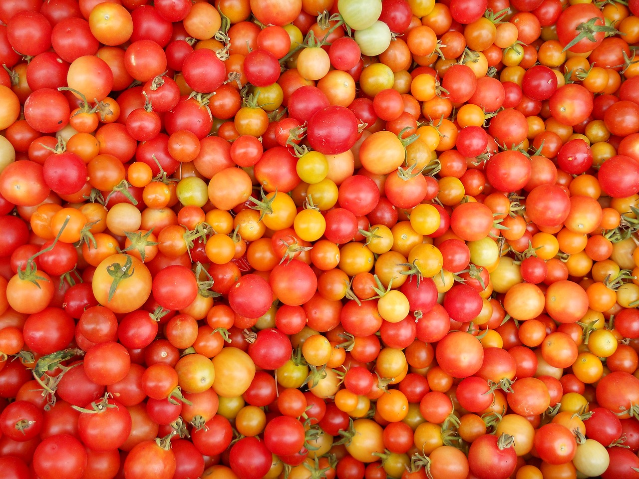 Pomidorai, Maistas, Vaisiai, Daržovių, Maistas, Pomidoras, Sveikas, Ekologiškas, Mityba, Valgymas