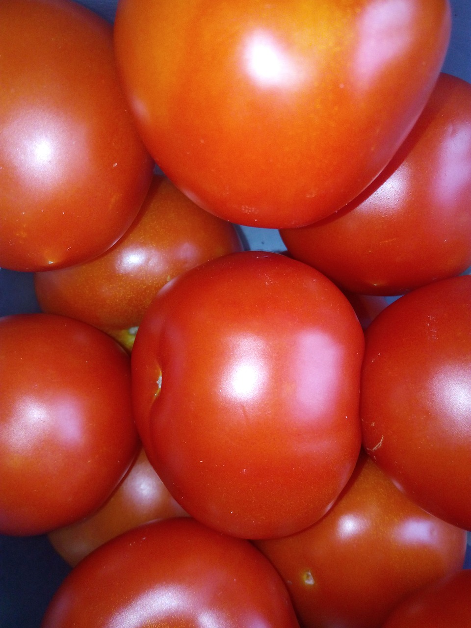 Pomidorai, Daržovės, Daržovių, Nemokamos Nuotraukos,  Nemokama Licenzija