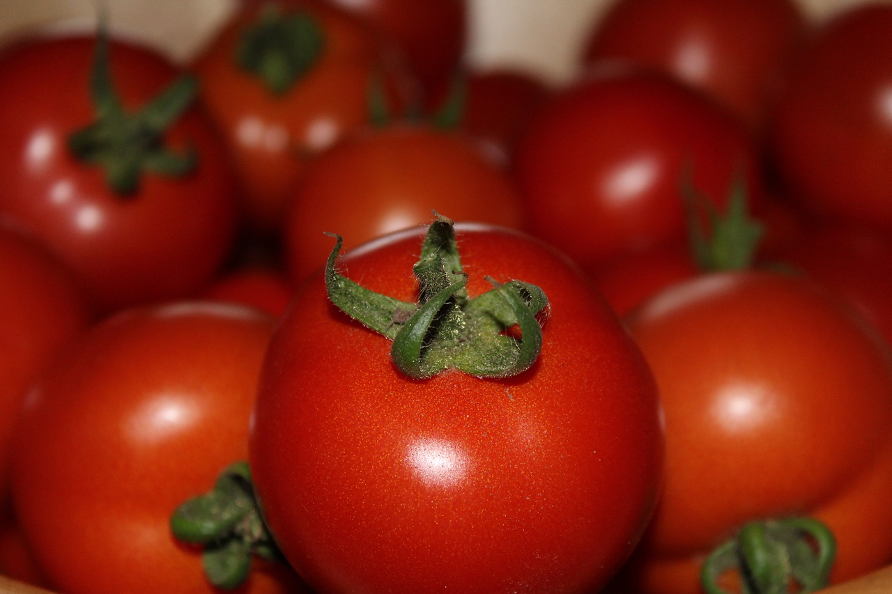 Pomidorai, Raudona, Daržovės, Derlius, Maistas, Vegetariškas, Frisch, Sveikas, Prinokę, Santvaros