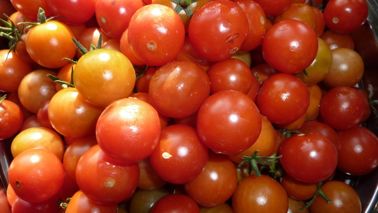 Pomidorai, Vyšniniai Pomidorai, Daržovės, Nemokamos Nuotraukos,  Nemokama Licenzija