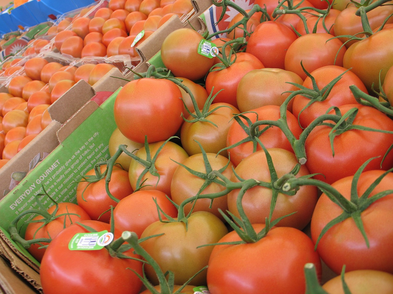 Pomidorai, Daržovės, Vaisiai, Gamta, Sveikas, Šiltnamyje, Šiltnamyje, Daržovių, Vaisių Sodas, Hidroponika