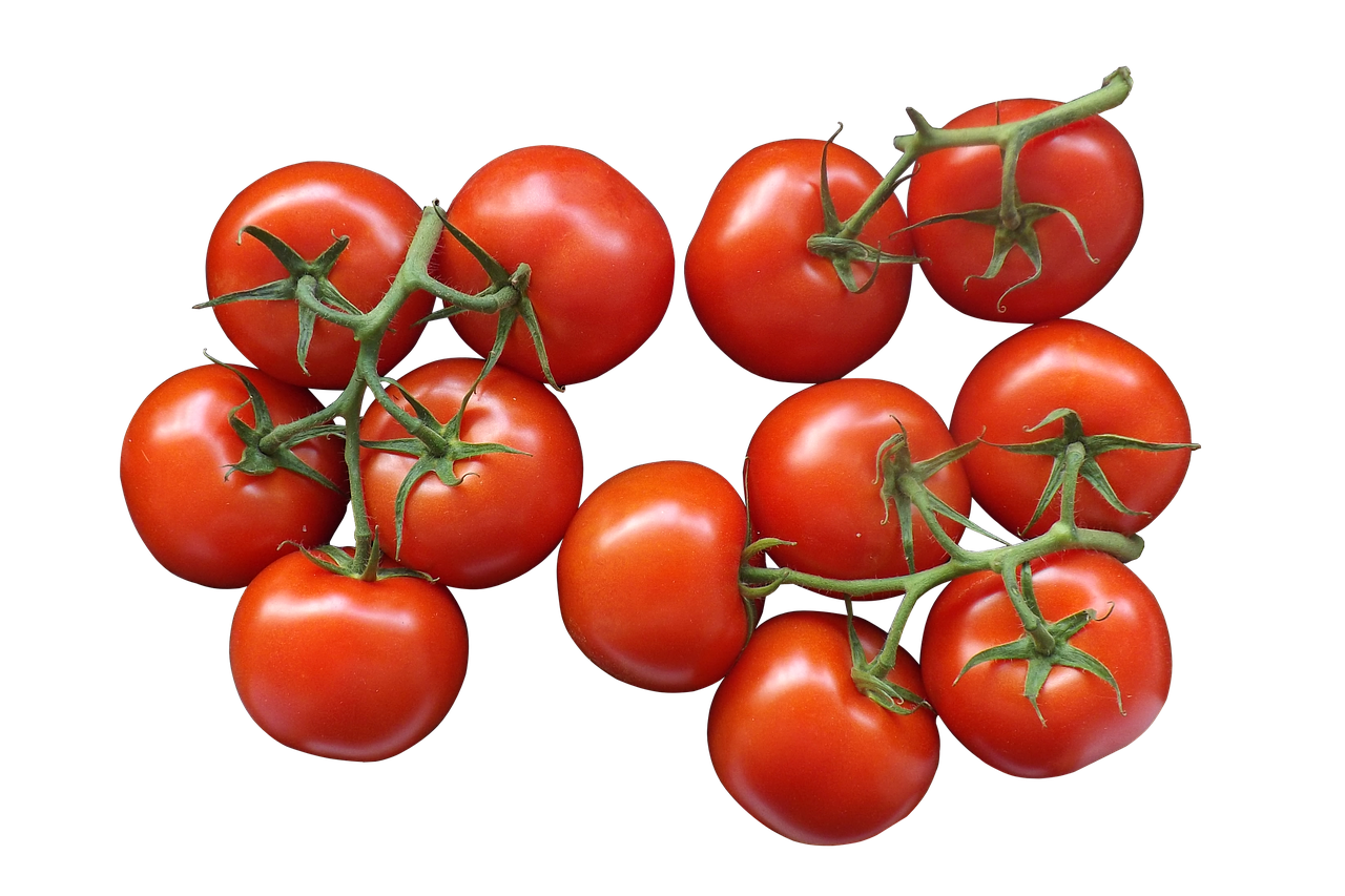 Pomidorai, Santvaros, Pakavimas, Skaidrus, Izoliuotas, Nemokamos Nuotraukos,  Nemokama Licenzija