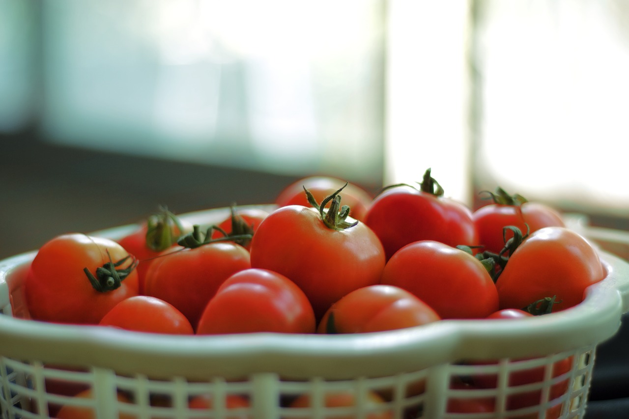 Pomidorai, Vaisiai, Raudona, Salotos, Maistas, Sveikas, Mityba, Šviežias, Ekologiškas, Mityba