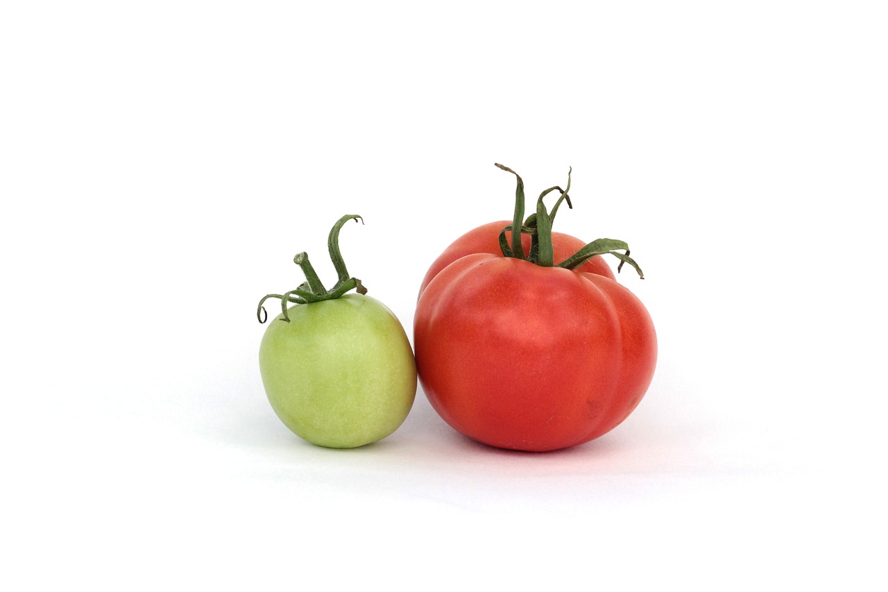 Pomidorai, Raudona, Žalias, Vasara, Dacha, Derlius, Daržovės, Mityba, Žalumos, Daržovių Sodas