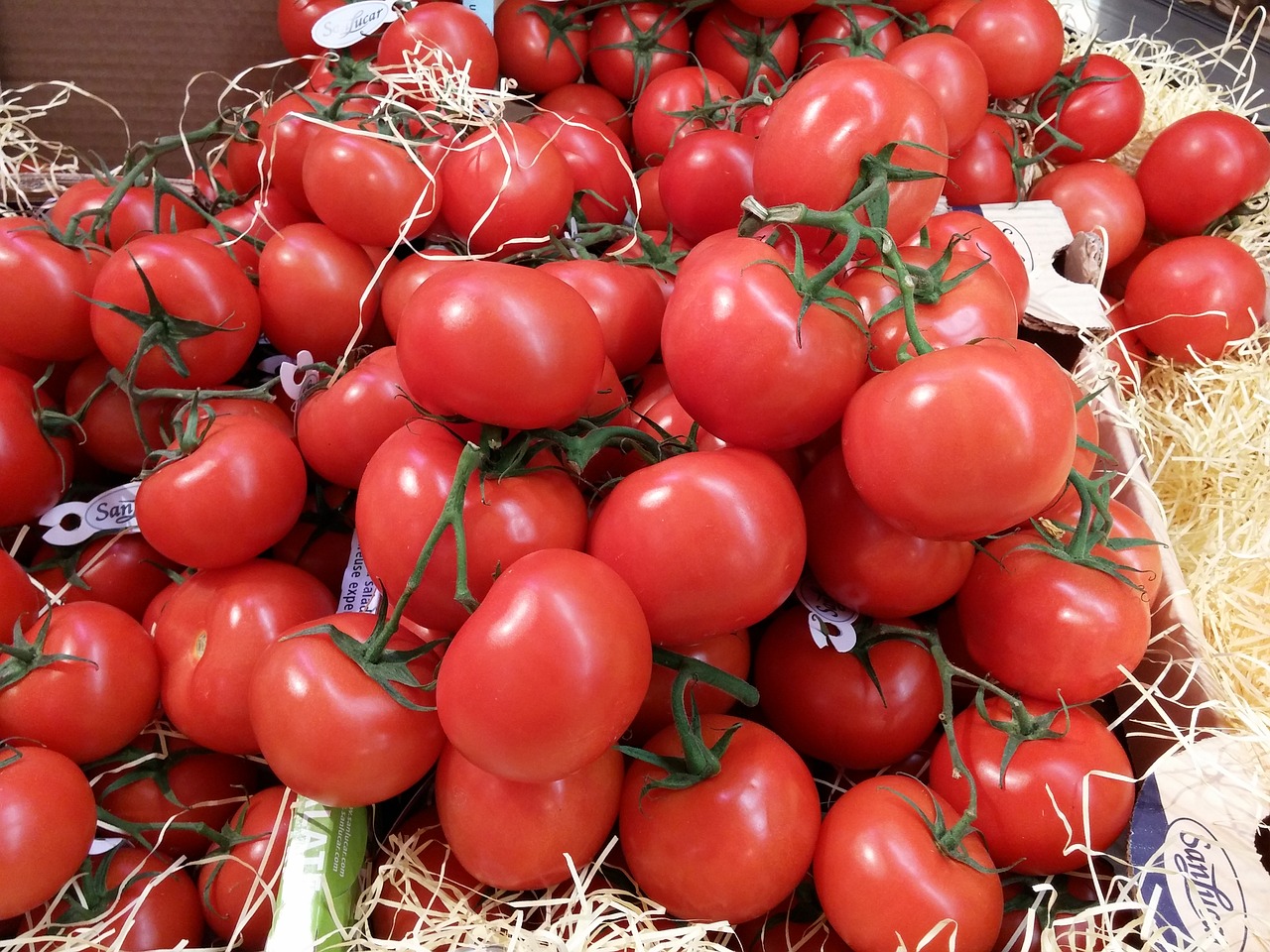 Pomidorai, Daržovės, Ispanų, Prekystalis, Raudona, Viduržemio Jūros, Maistas, Turgus, Sodas, Augalas